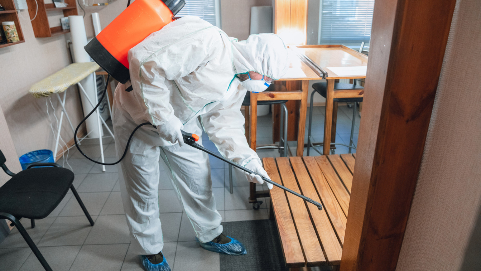 Pest Control Marketing Dubai